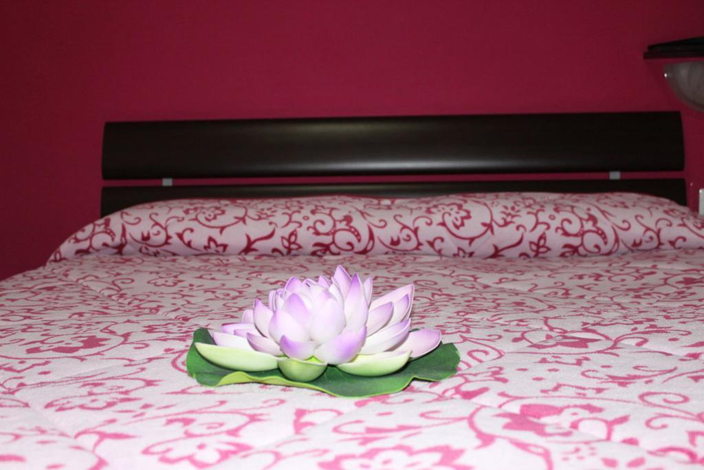 Aracoeli Bed & Breakfast Rome Bagian luar foto
